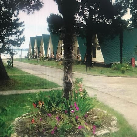 سوخومي Kyalasur Hotel المظهر الخارجي الصورة